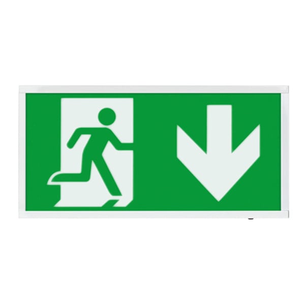 ESP Duceri 3W LED Emergency Self Test Exit Box - Down - JEM Systems UK
