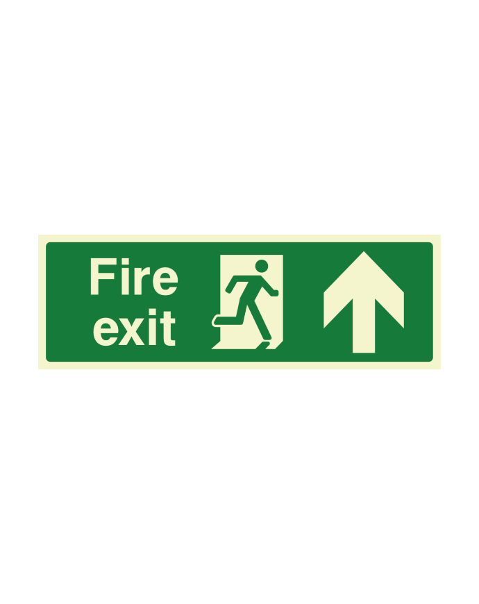 CheckFire 202P Fire Exit UP 300x100 Photolum.