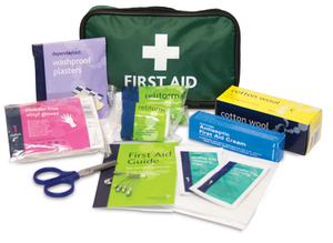 Reliance Medical Handy Travel First Aid Kit Pouch (416)