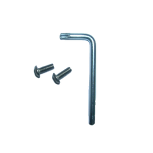 Comelit Vandalproof Screw Kit c/w Key