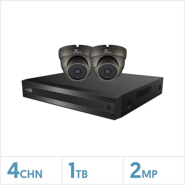 Viper 4 Channel DVR 1TB with 2 x 2MP 4-in-1 Turret Cameras (Grey) Kit