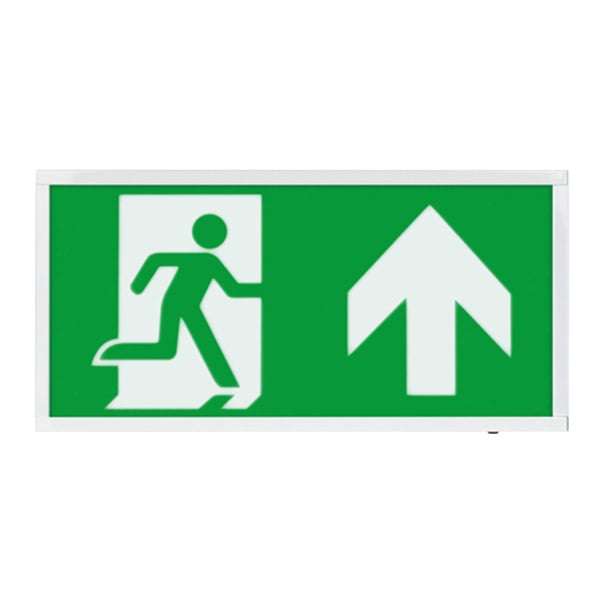 ESP Duceri 3W LED Emergency Self Test Exit Box - Up - JEM Systems UK