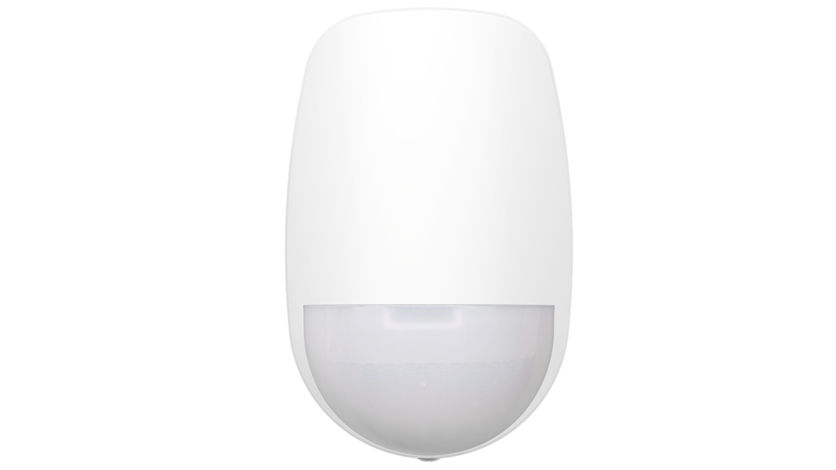 Hikvision AX PRO Wireless Dual-Tech Detector