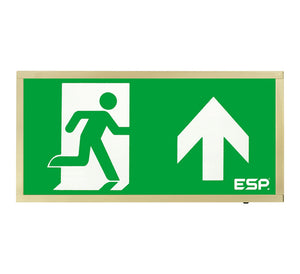 ESP Duceri 3W LED IP20 Emergency Exit Box - Lithium Battery - Brass - Up Arrow (D120UBR)