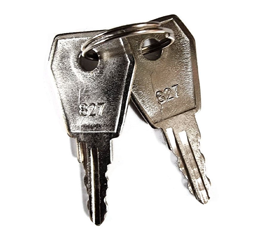 ESP MAGfire Fire/Aux Isolation Switch Spare Keys - JEM Systems UK