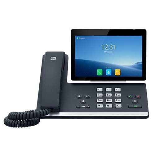 2N 1120102 D7A IP Phone D7A Series, Intercom Answering Unit Supports Skype and Zoom, Black